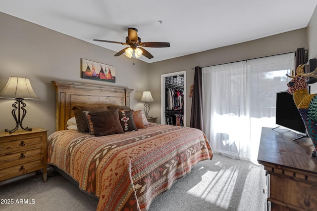 bedroom featuring a walk in closet, a closet, ceiling fan, and carpet