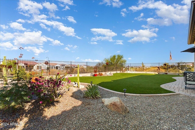 view of yard featuring a patio area