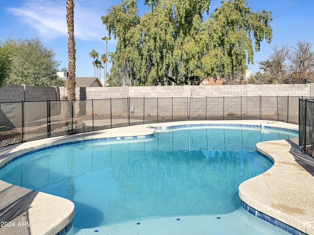 view of swimming pool