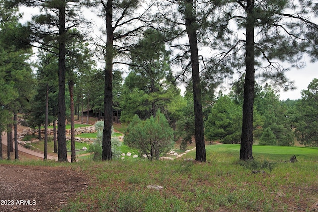 view of landscape