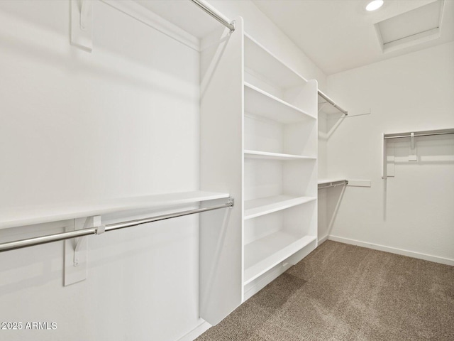 4041 S 176th Dr, Goodyear, AZ 85338 - spacious closet featuring attic access and carpet