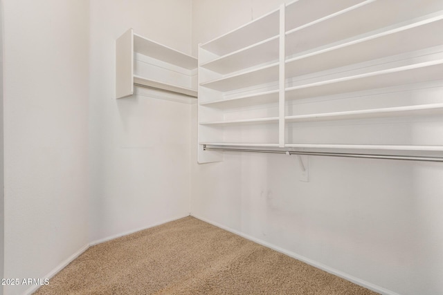 walk in closet featuring carpet