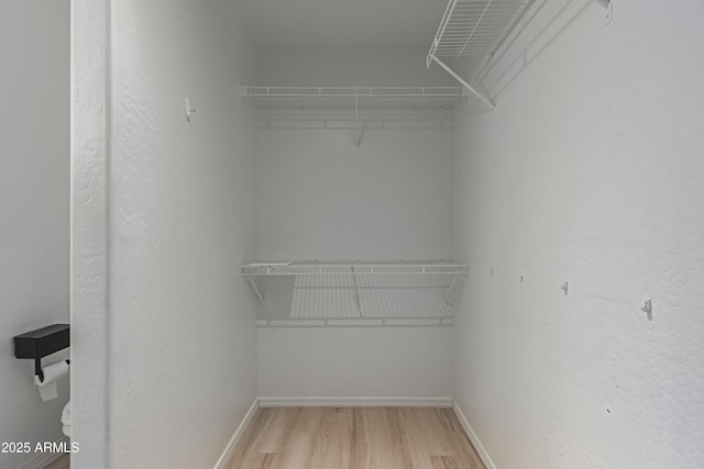 walk in closet featuring light hardwood / wood-style floors