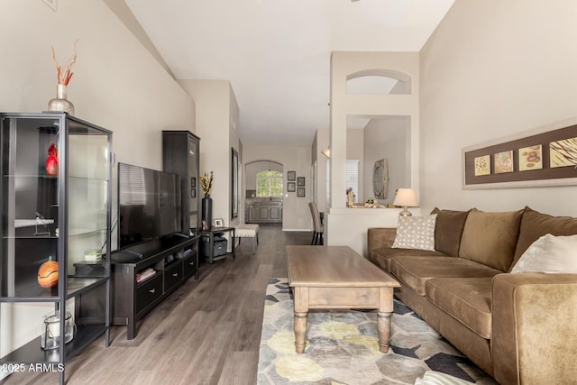 living area featuring wood finished floors