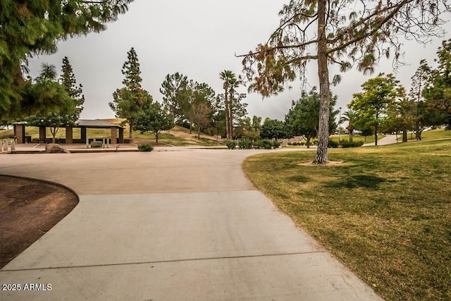 view of property's community featuring a yard