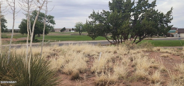 2642 W Foothill Cir Unit 13, Snowflake, AZ 85937