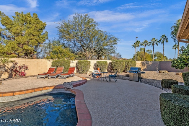 view of swimming pool with a patio and a grill