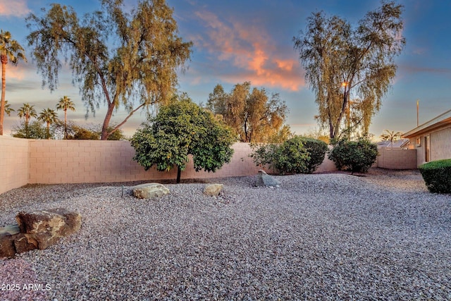 view of yard at dusk