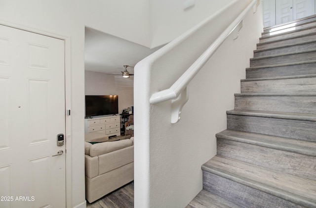 stairway featuring ceiling fan and wood finished floors