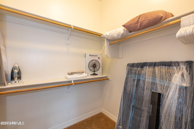 spacious closet with carpet floors