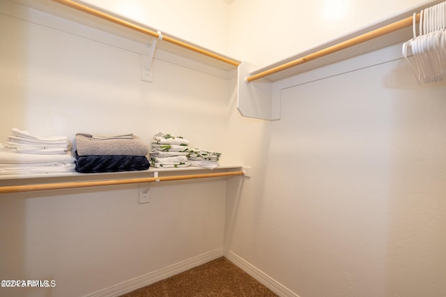 spacious closet with carpet floors