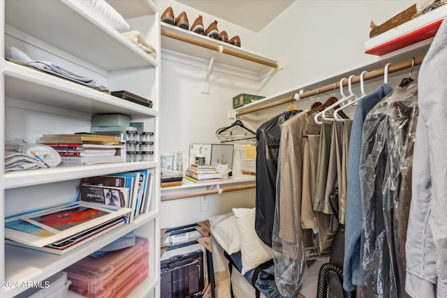 view of walk in closet