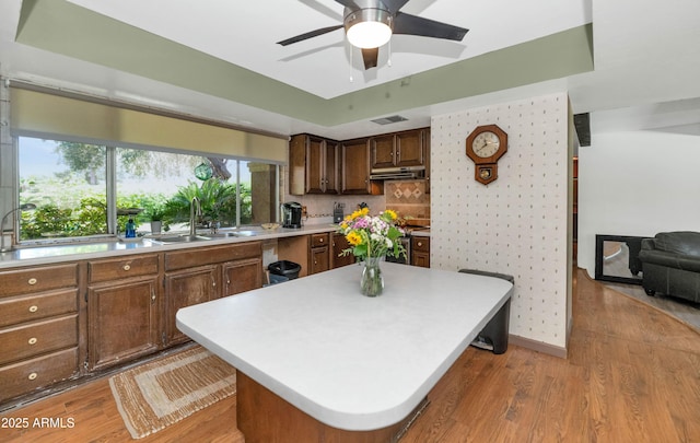1298 E Buffalo St, Chandler, AZ 85225 - kitchen with a sink, light countertops, a ceiling fan, and light wood-style flooring
