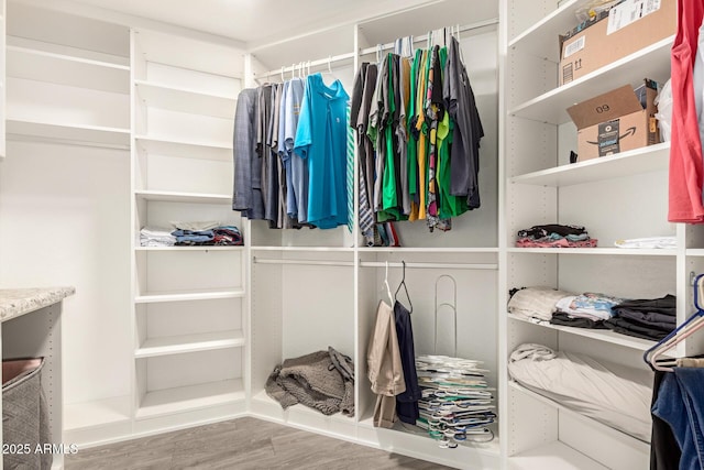 spacious closet featuring wood finished floors