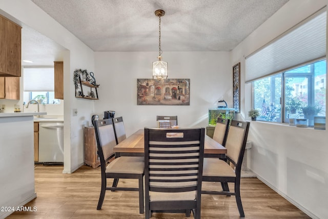 dining space with sink, a textured ceiling, and light wood-type flooring