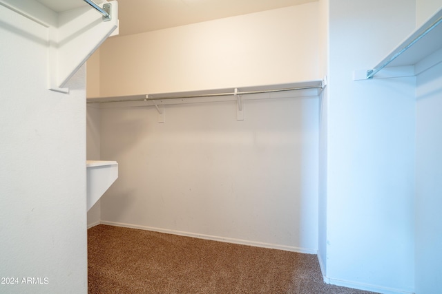 spacious closet featuring carpet