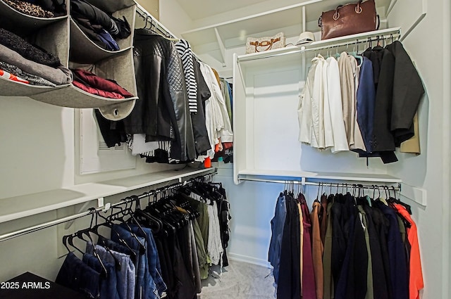 view of spacious closet