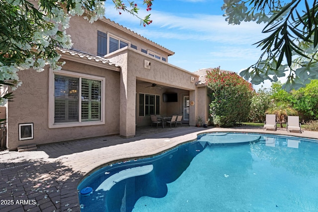 2856 E Desert Broom Pl, Chandler, AZ 85286 - outdoor pool with a ceiling fan and a patio