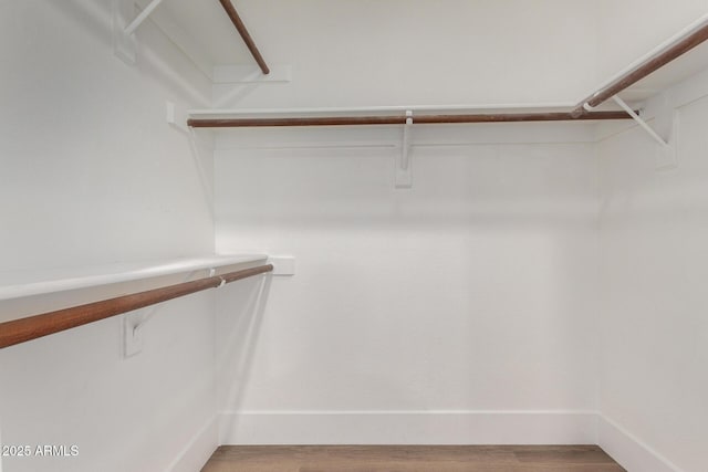 5230 E Brown Rd Unit 114, Mesa, AZ 85205 - walk in closet with light wood-style floors