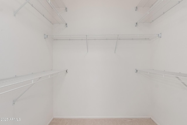 walk in closet with light colored carpet