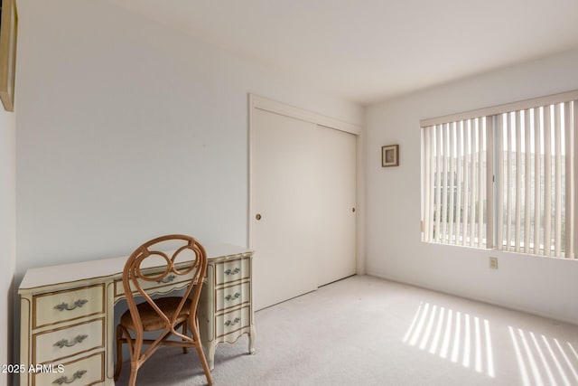 office area featuring carpet