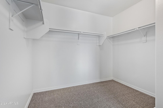 spacious closet with carpet