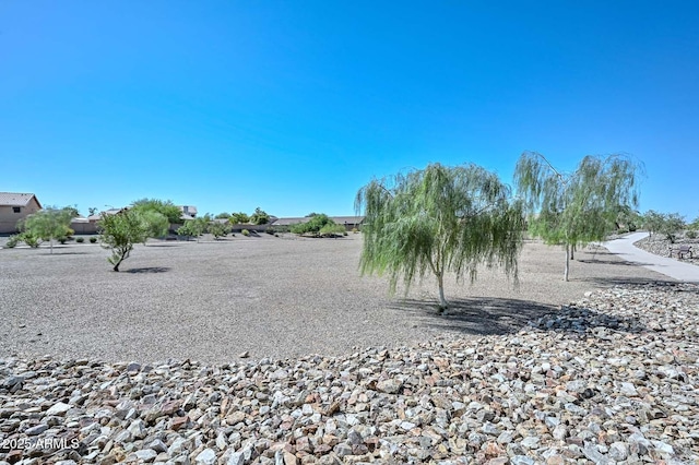 10806 W Adam Ave, Peoria, AZ 85373 - view of yard