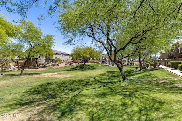 view of yard with a residential view