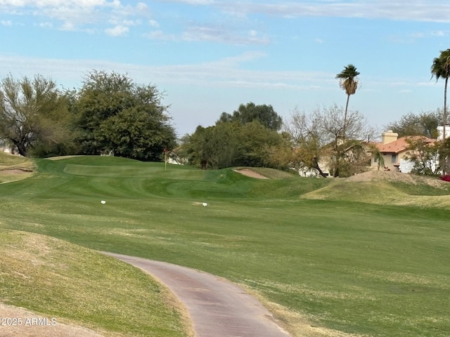 view of property's community with a yard