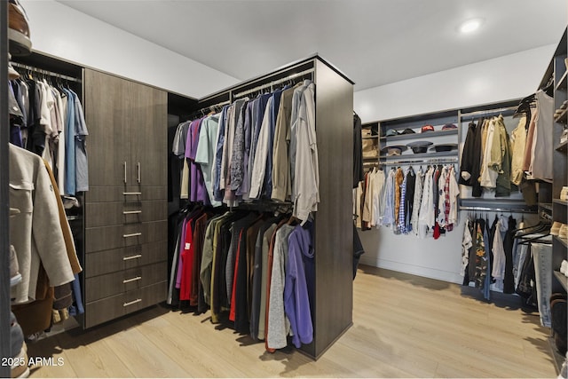 17245 E Desert Vista Trl, Rio Verde, AZ 85263 - spacious closet with light wood-type flooring