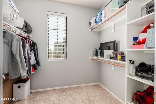 spacious closet with carpet floors