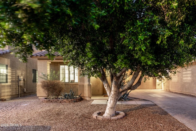 9350 W Williams St, Tolleson, AZ 85353 - view of property hidden behind natural elements with a tiled roof, driveway, and stucco siding