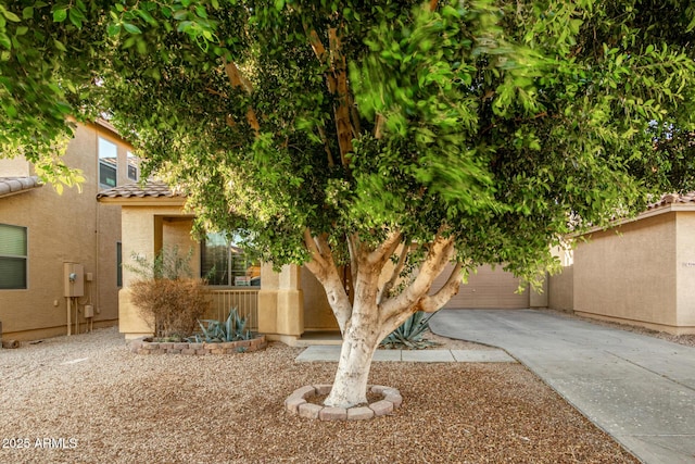 9350 W Williams St, Tolleson, AZ 85353 - view of property hidden behind natural elements featuring a tiled roof, concrete driveway, stucco siding, and a garage