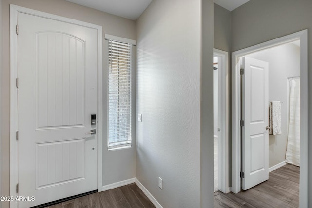 entryway featuring a healthy amount of sunlight and wood-type flooring