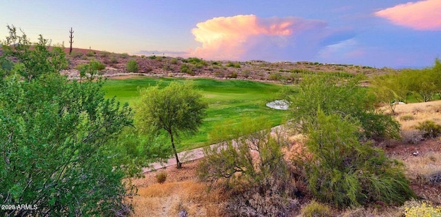 view of nature at dusk