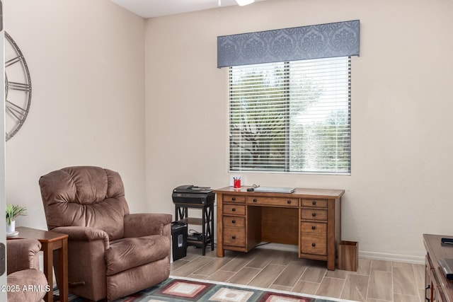 home office with baseboards