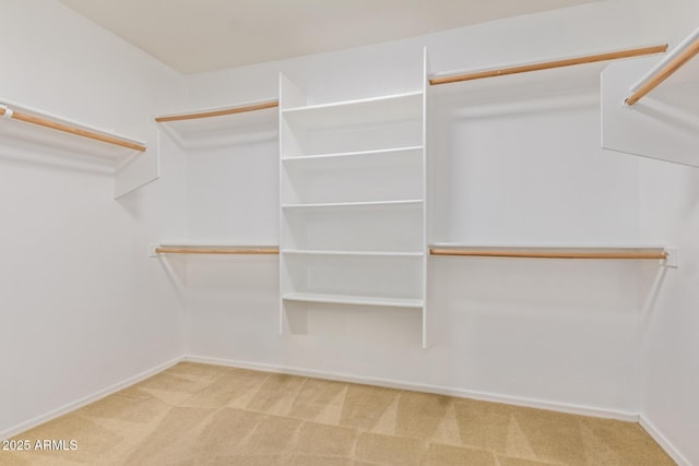 walk in closet featuring light colored carpet