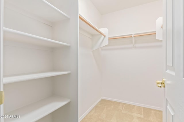 spacious closet featuring light colored carpet