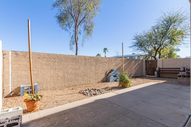 view of yard with a patio