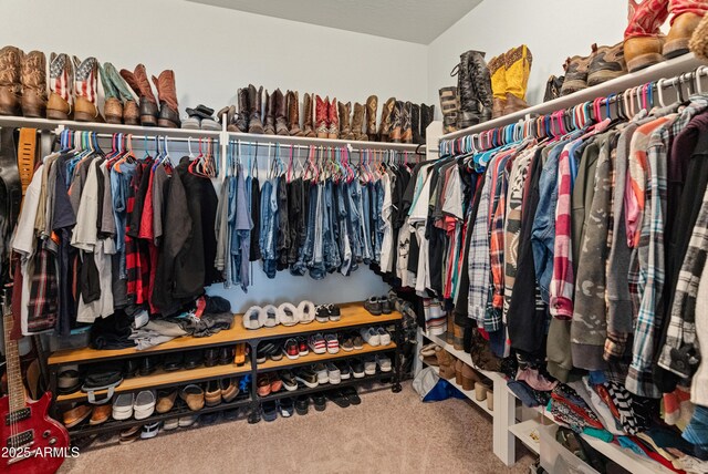 26032 W Quail Ave, Buckeye, AZ 85396 - spacious closet featuring carpet
