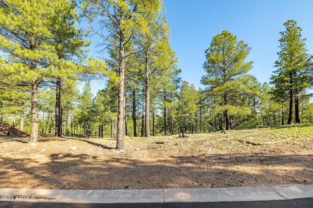 3631 S Woodland Hls Unit 368, Flagstaff AZ, 86005 land for sale