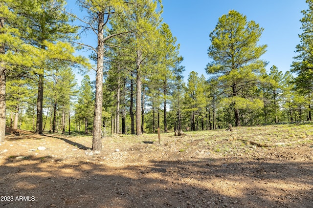 Listing photo 3 for 3631 S Woodland Hls Unit 368, Flagstaff AZ 86005