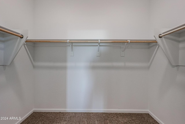 spacious closet featuring carpet floors