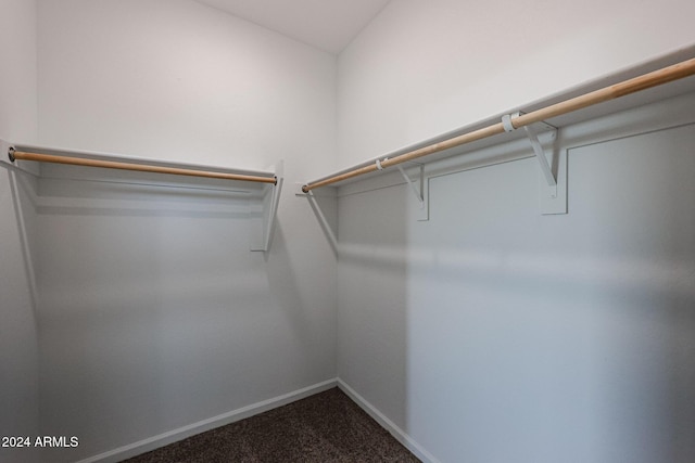 spacious closet with carpet