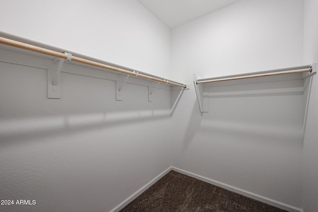 walk in closet featuring carpet flooring