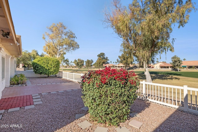 view of yard featuring a patio