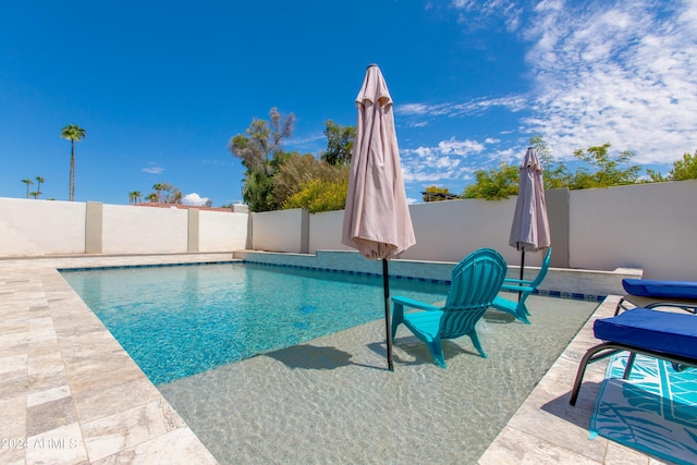 view of swimming pool featuring a patio area