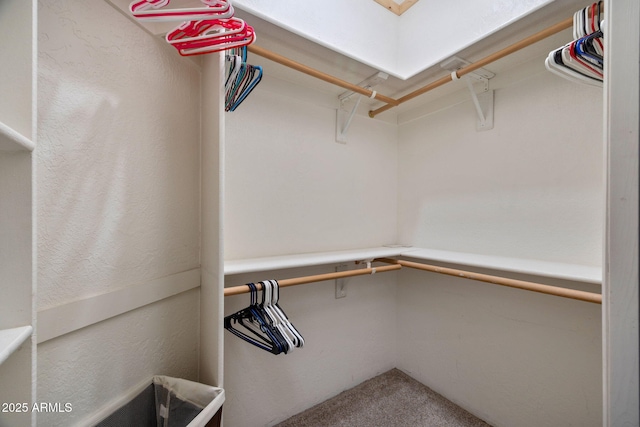 3123 S Indian Paint Ln, Pinetop, AZ 85935 - walk in closet featuring carpet