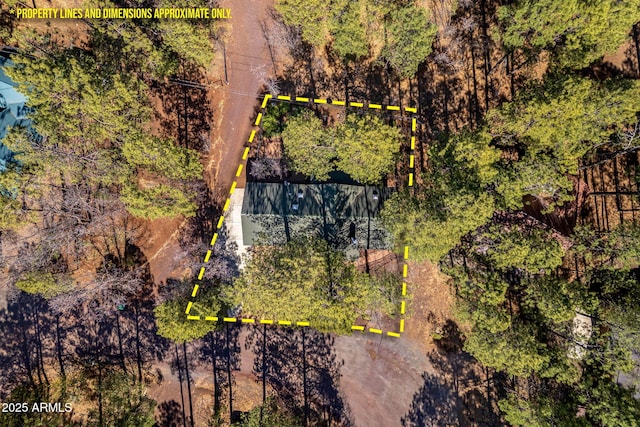 3123 S Indian Paint Ln, Pinetop, AZ 85935 - aerial overview of property's location featuring property boundaries highlighted