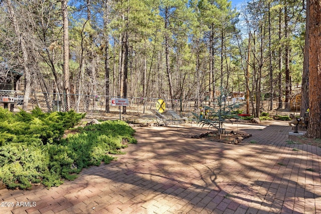 3123 S Indian Paint Ln, Pinetop, AZ 85935 - view of community